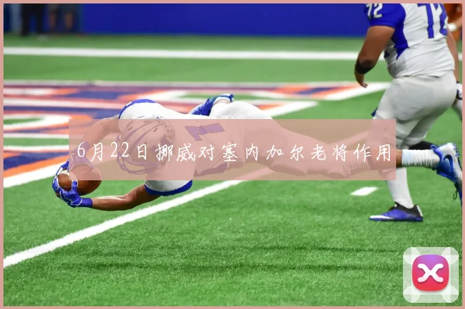 6月22日挪威对塞内加尔老将作用
