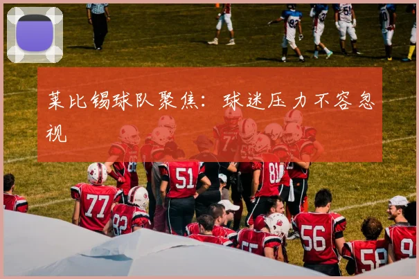 莱比锡球队聚焦：球迷压力不容忽视