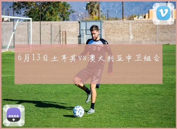 6月13日土耳其vs澳大利亚中卫组合